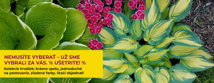 Kolekce Kolekce