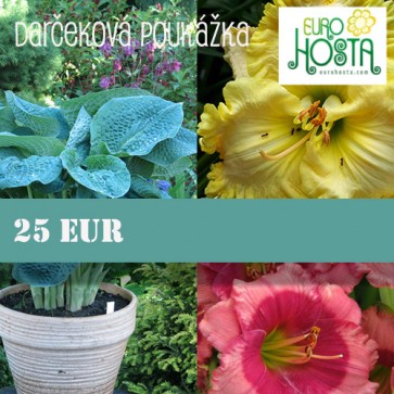 Darčeková poukážka 25 Eur