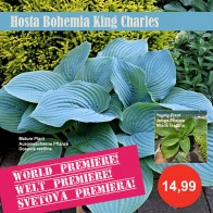 Bohemia King Charles