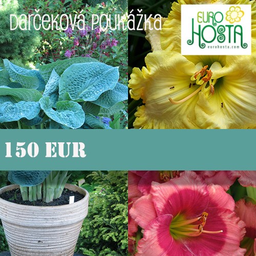 Darčeková poukážka 150 eur